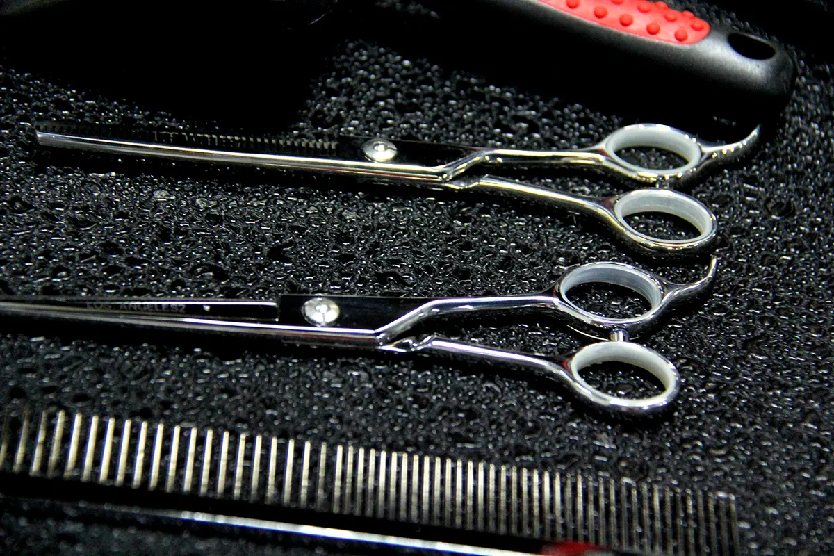 Professional grooming scissors and combs laid out at PGH